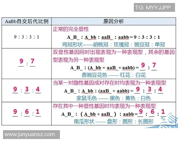 仿真球星制作足球的技术与工艺探究及其应用前景分析 仿真球星制作足球的技术与工艺探究及其应用前景分析