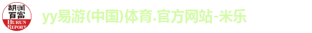 yy易游